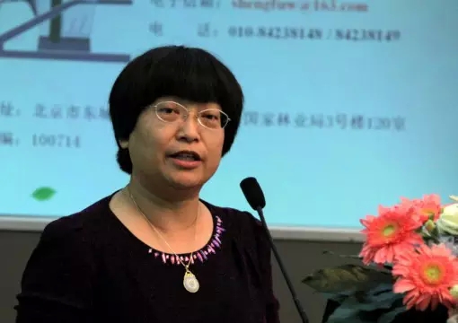 世界自然基金會(huì)WWF中國(guó)執(zhí)行總監(jiān)李琳博士發(fā)言.jpg